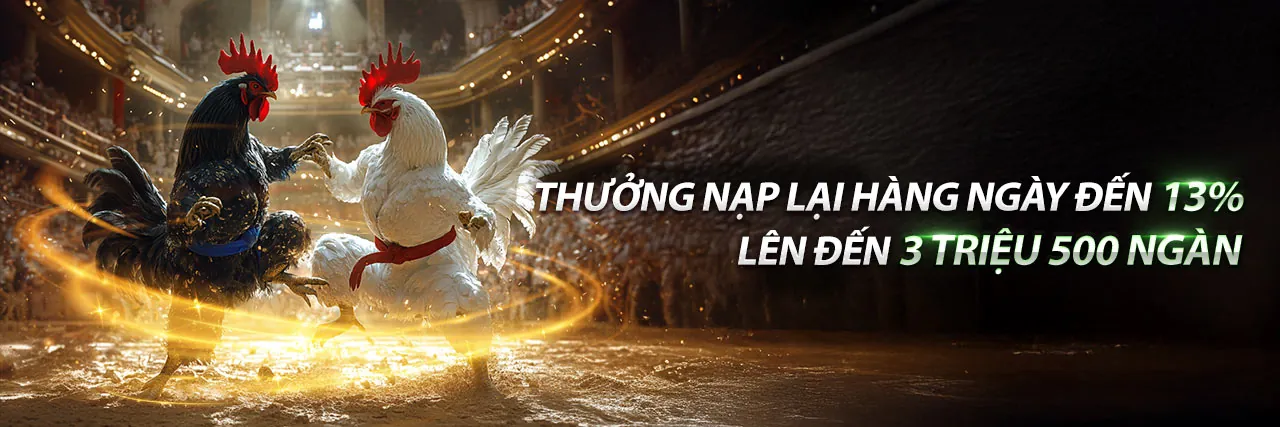 Sân đấu đá gà kịch tính tại zom nhà cái